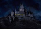 Hogwarts School of Witches and Wizardry by Adrian Richardson HIGHLY COMMENDED